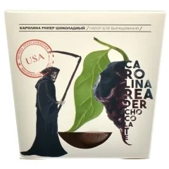 Plant Republic: Перец острый "Каролина Рипер Шоколадный"