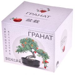 Сад радости: Бонсай Гранат