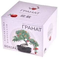 Сад радости: Бонсай Гранат