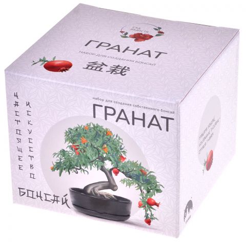Сад радости: Бонсай Гранат