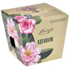 Тысяча листьев Премиум: Адениум