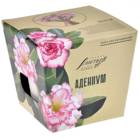 Тысяча листьев Премиум: Адениум