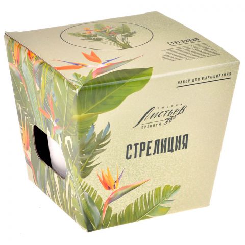 Тысяча листьев Премиум: Стрелиция