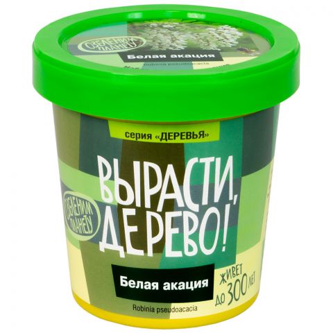 Вырасти дерево: Белая акация