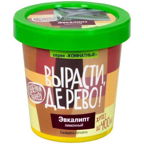 Вырасти дерево: Эвкалипт лимонный