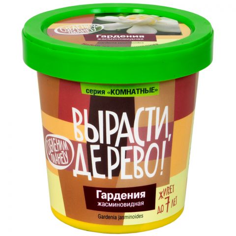 Вырасти дерево: Гардения жасминовидная