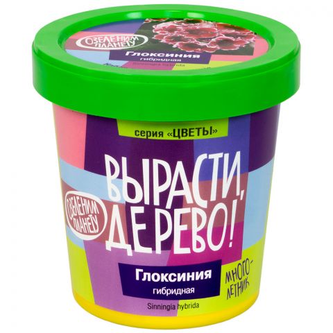 Вырасти дерево: Глоксиния гибридная