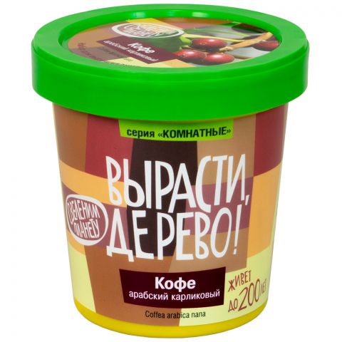 Вырасти дерево: Кофе арабский карликовый