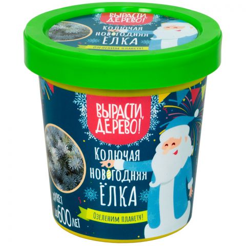 Вырасти дерево: Колючая новогодняя елка