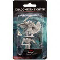 D&D Nolzur's Marvelous Miniatures: Dragonborn Fighter (Male)