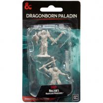 D&D Nolzur's Marvelous Miniatures: Dragonborn Paladin