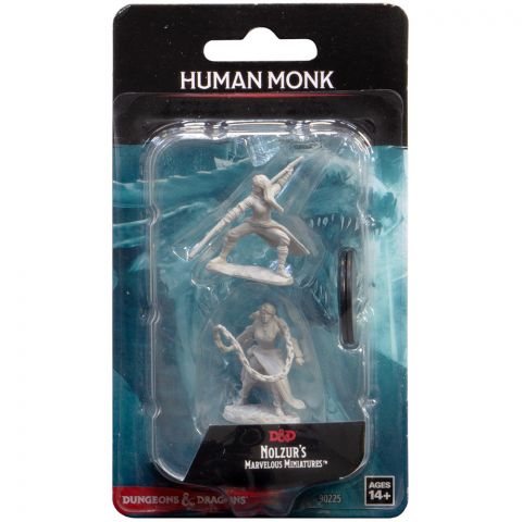 D&D Nolzur's Marvelous Miniatures: Human Monk Female