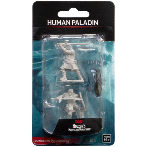 D&D Nolzur's Marvelous Miniatures: Human Paladin Male