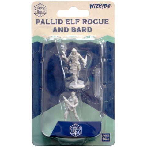 Critical Role: Pallid Elf Rogue and Bard