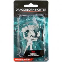D&D Nolzur's Marvelous Miniatures: Dragonborn Fighter