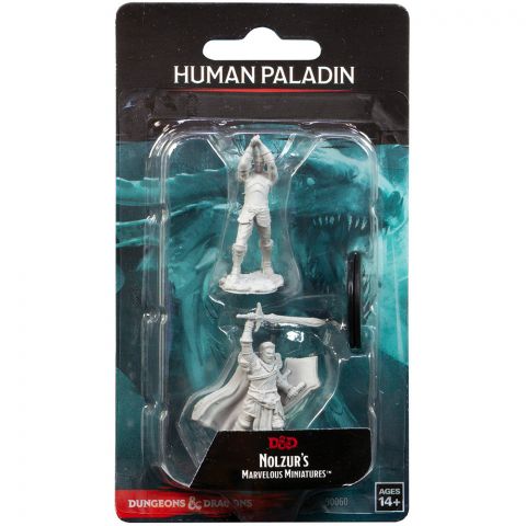 D&D Nolzur's Marvelous Miniatures: Human Paladin