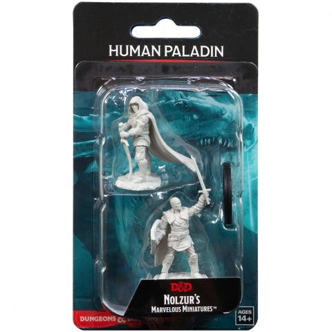 D&D Nolzur's Marvelous Miniatures: Human Paladin (мужчина)