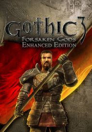 Gothic III: Forsaken Gods Enhanced Edition (для PC/Steam)