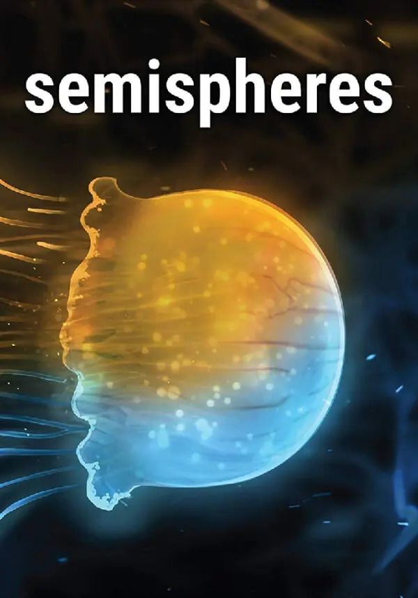 

Semispheres (для PC/Steam)