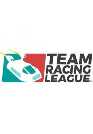 Team Racing League (для PC/Steam)