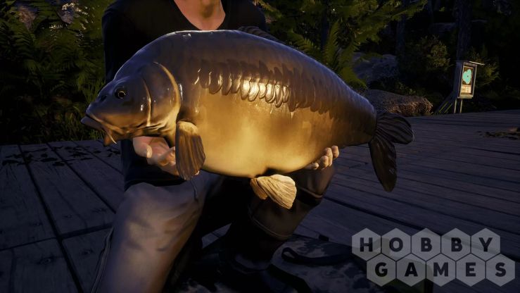 Вопросы про Euro Fishing: Ultimate Edition (для PC/Steam) фото 5