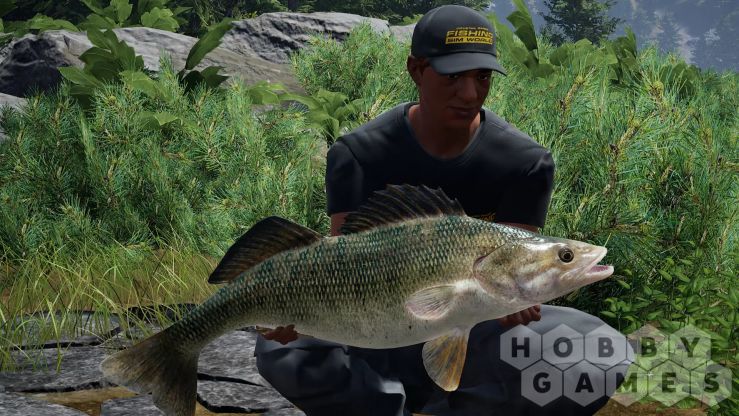 Вопросы про Fishing Sim World - Quad Lake Pass (для PC/Steam) фото 5