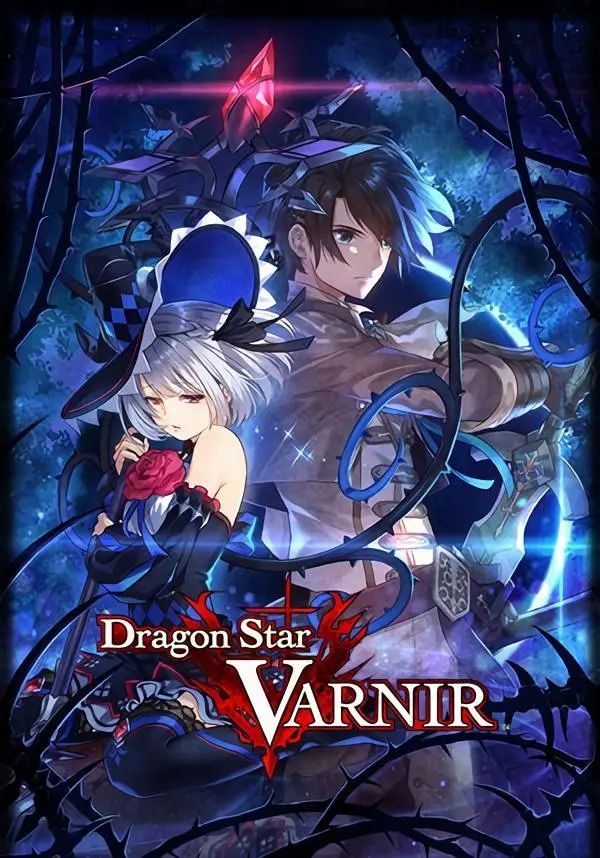 

Dragon Star Varnir (для PC/Steam)
