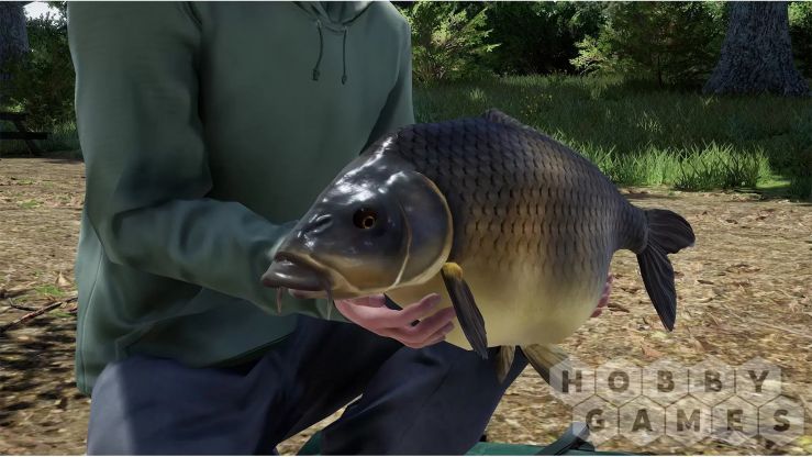 Отзывы о Fishing Sim World: Pro Tour – Giant Carp Pack (для PC/Steam) фото 5