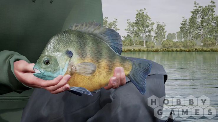 Fishing Sim World: Pro Tour – Lake Williams (для PC/Steam) фото 6