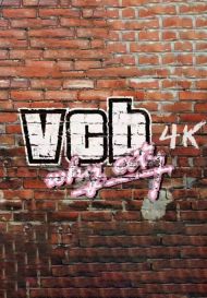 VCB: Why City 4k (для PC/Steam)