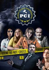 PCI Public Crime Investigation (для PC/Steam)