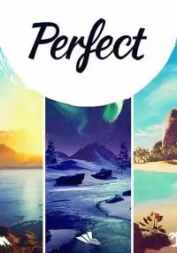 Perfect (для PC/Steam)