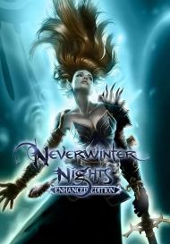 Neverwinter Nights: Enhanced Edition (для PC/Steam)
