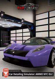 Car Detailing Simulator - AMMO NYC DLC (для PC/Steam)