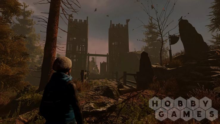 Through the Woods: Digital Collector's Edition (для PC/Steam) фото 2