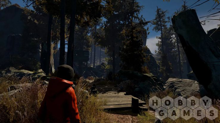 Through the Woods: Digital Collector's Edition (для PC/Steam) фото 8