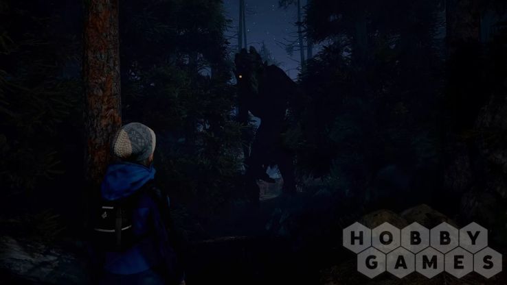 Through the Woods: Digital Collector's Edition (для PC/Steam) фото 3