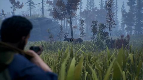 Open Country (для PC/Steam)