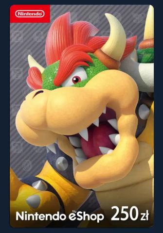Nintendo eShop Card 250zl