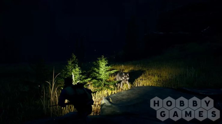 Вопросы про Open Country (для PC/Steam) фото 10