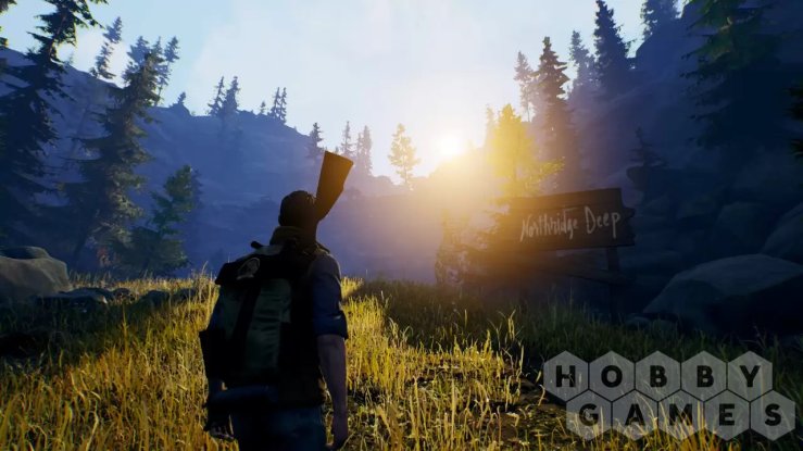 Вопросы про Open Country (для PC/Steam) фото 3