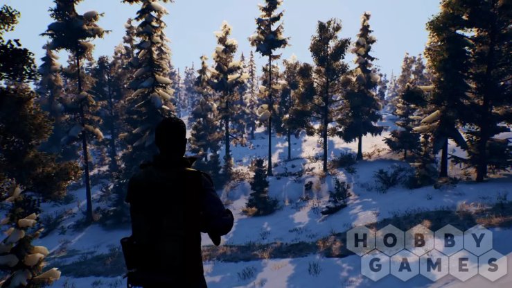 Вопросы про Open Country (для PC/Steam) фото 2