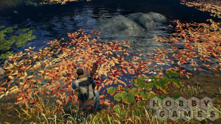 Вопросы про Open Country (для PC/Steam)