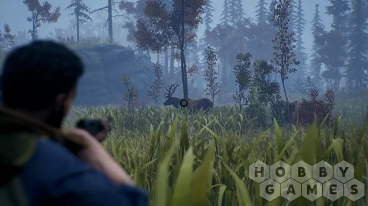 Вопросы про Open Country (для PC/Steam) фото 8