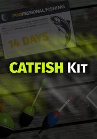 Professional Fishing: Catfish Kit (для PC/Steam)