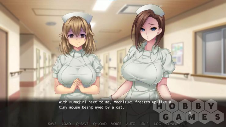Nope Nope Nope Nurses (для PC/Steam) фото 2