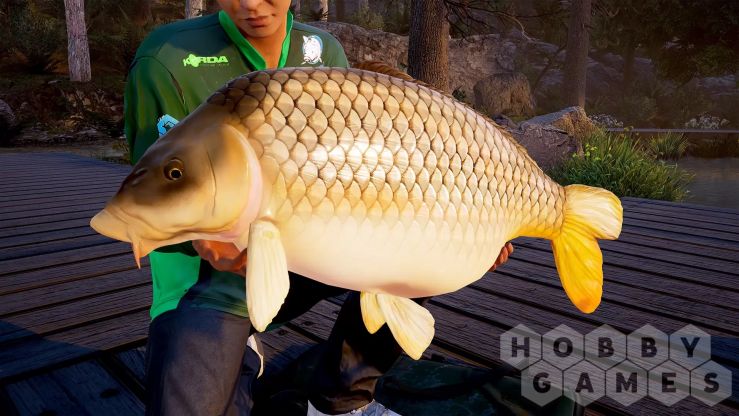 Вопросы про Fishing Sim World: Pro Tour - Deluxe Edition (для PC/Steam) фото 7