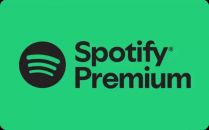 Spotify Premium 1 Month Digital Code (Spotify)