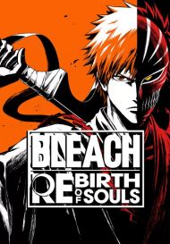 BLEACH Rebirth of Souls (для PC/Steam)