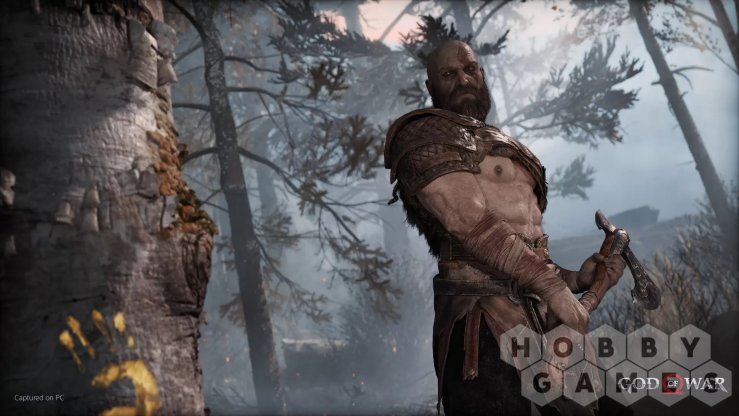 Вопросы про God of War (для PC/Steam) фото 9